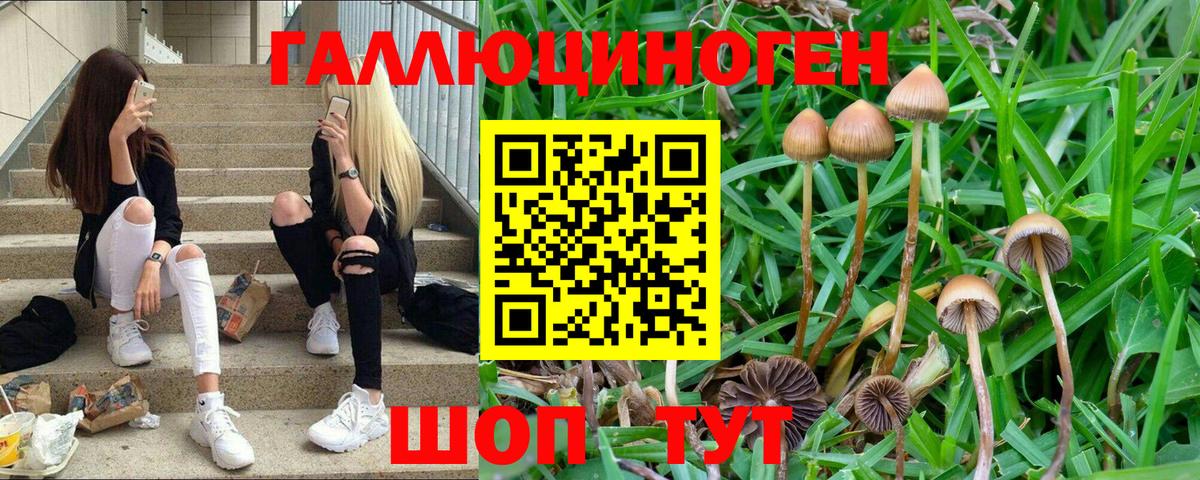 Батайск  Галлюциногенные грибы ЛСД  Вход с VPN 